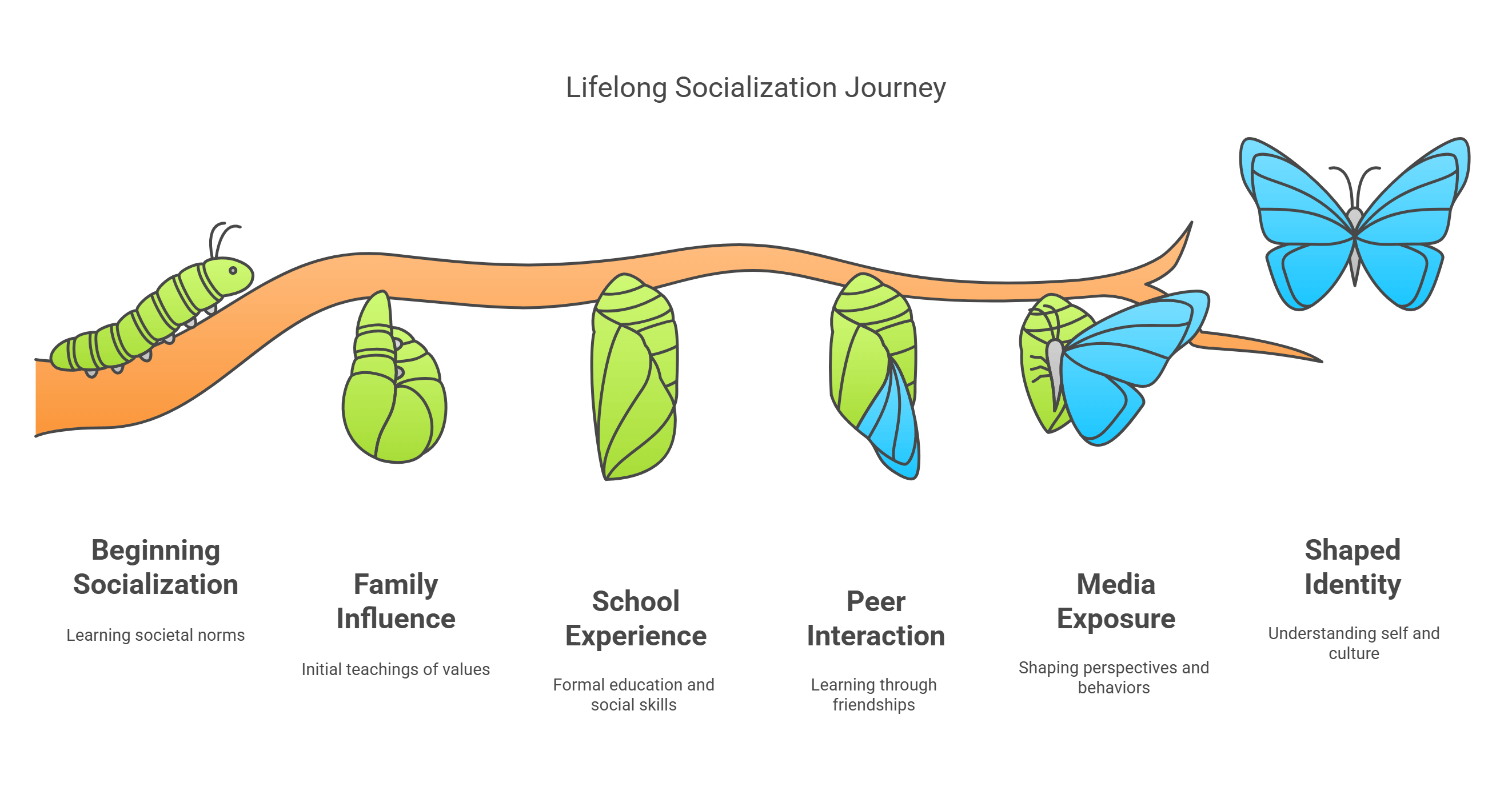Lifelong Socialization Journey