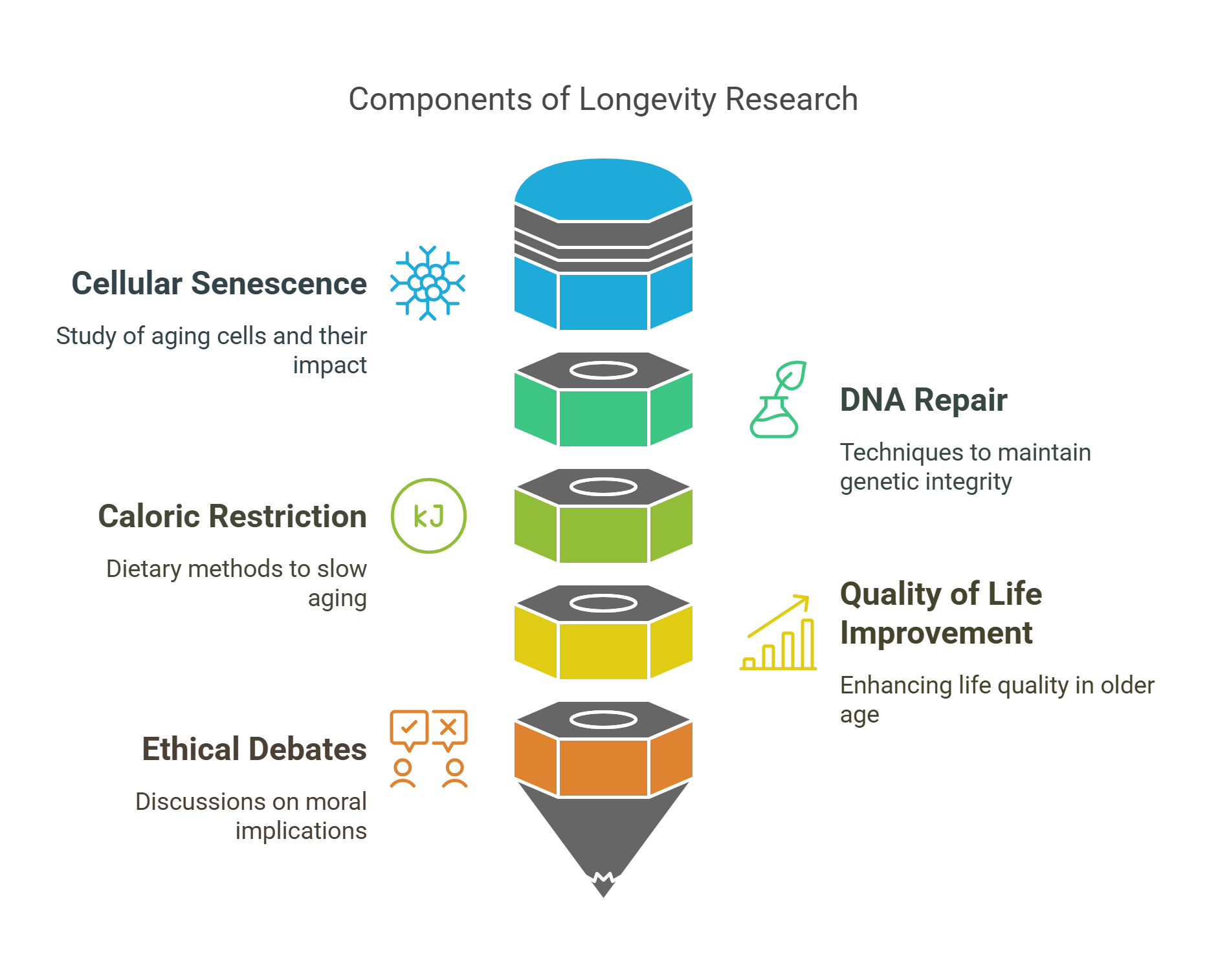 Longevity Research Components