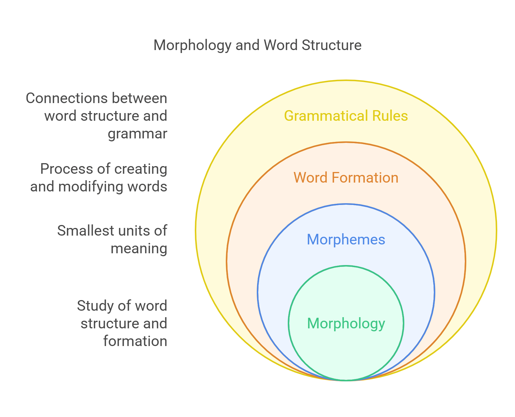 Morphology And Word Structure Overview