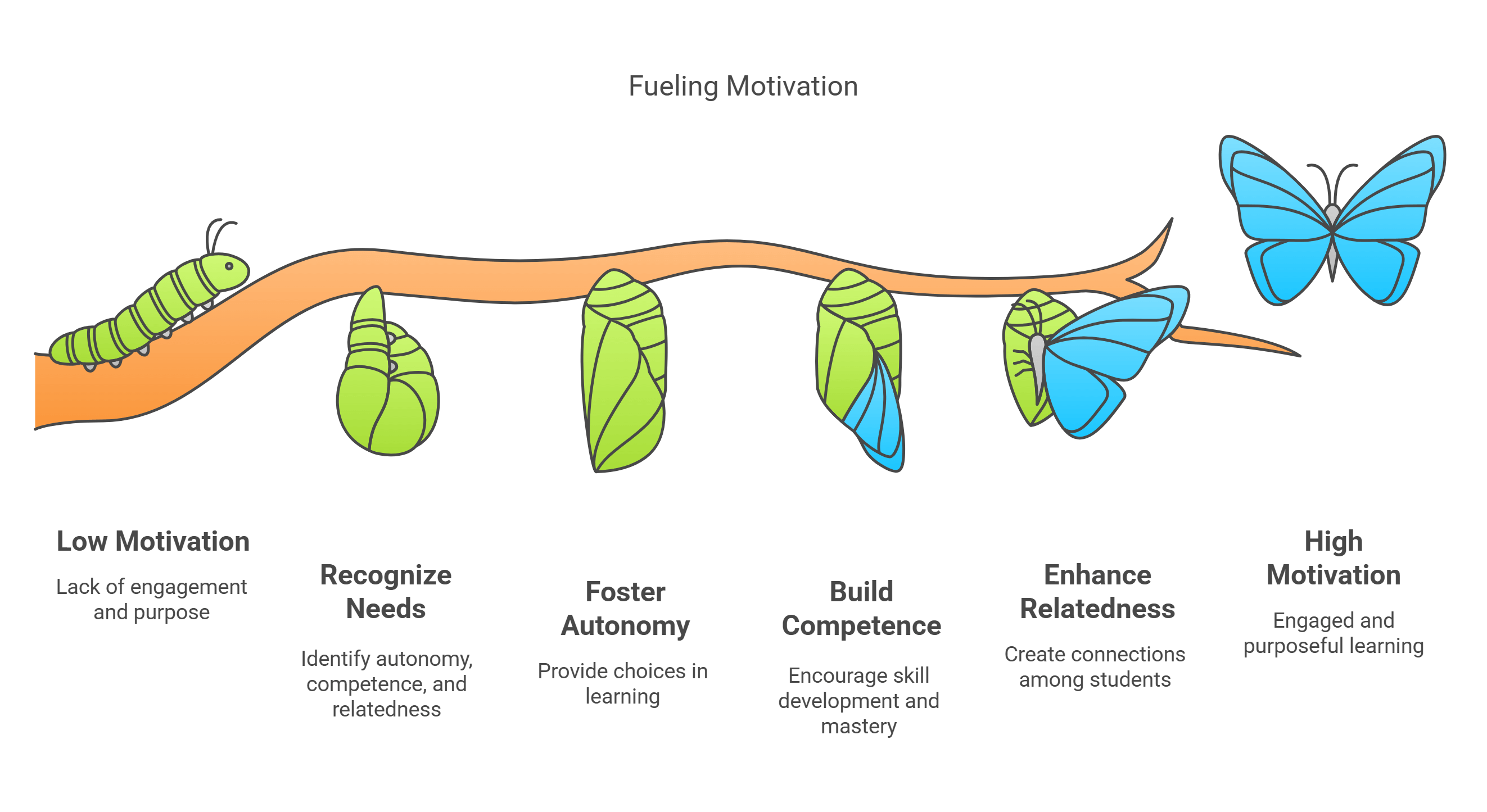 Motivation Development In Education