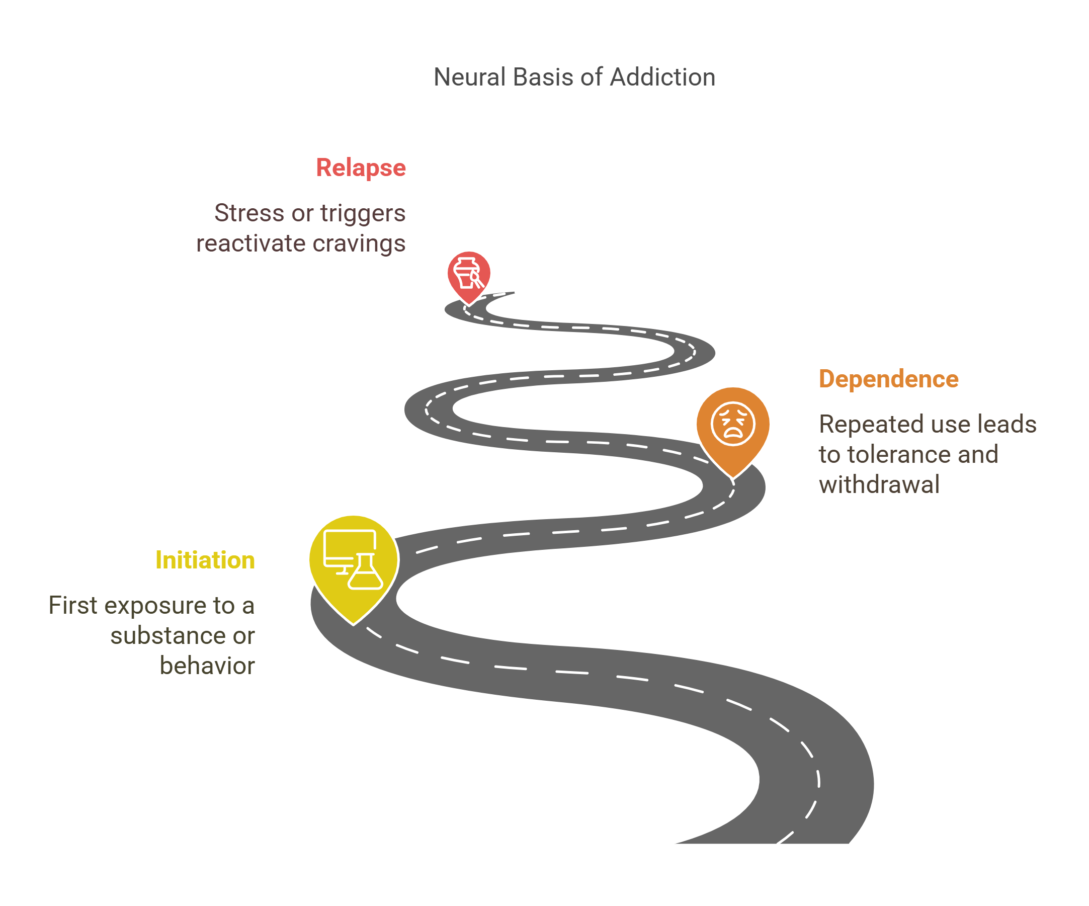Neural Basis Of Addiction Pathway