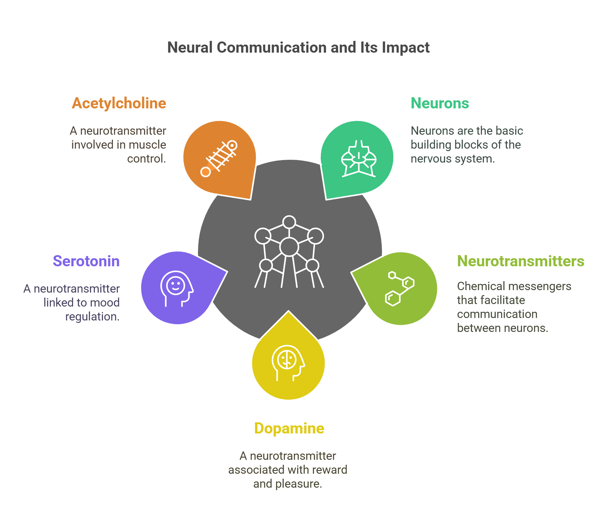 Neural Communication And Neurotransmitter Functions