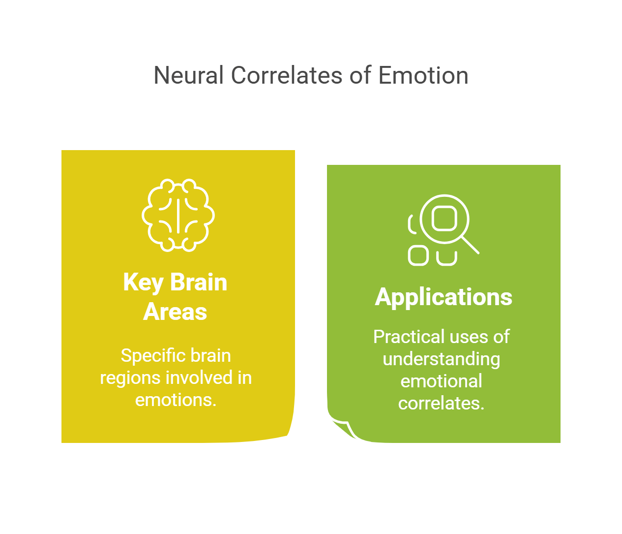 Neural Correlates Of Emotion Key Insights