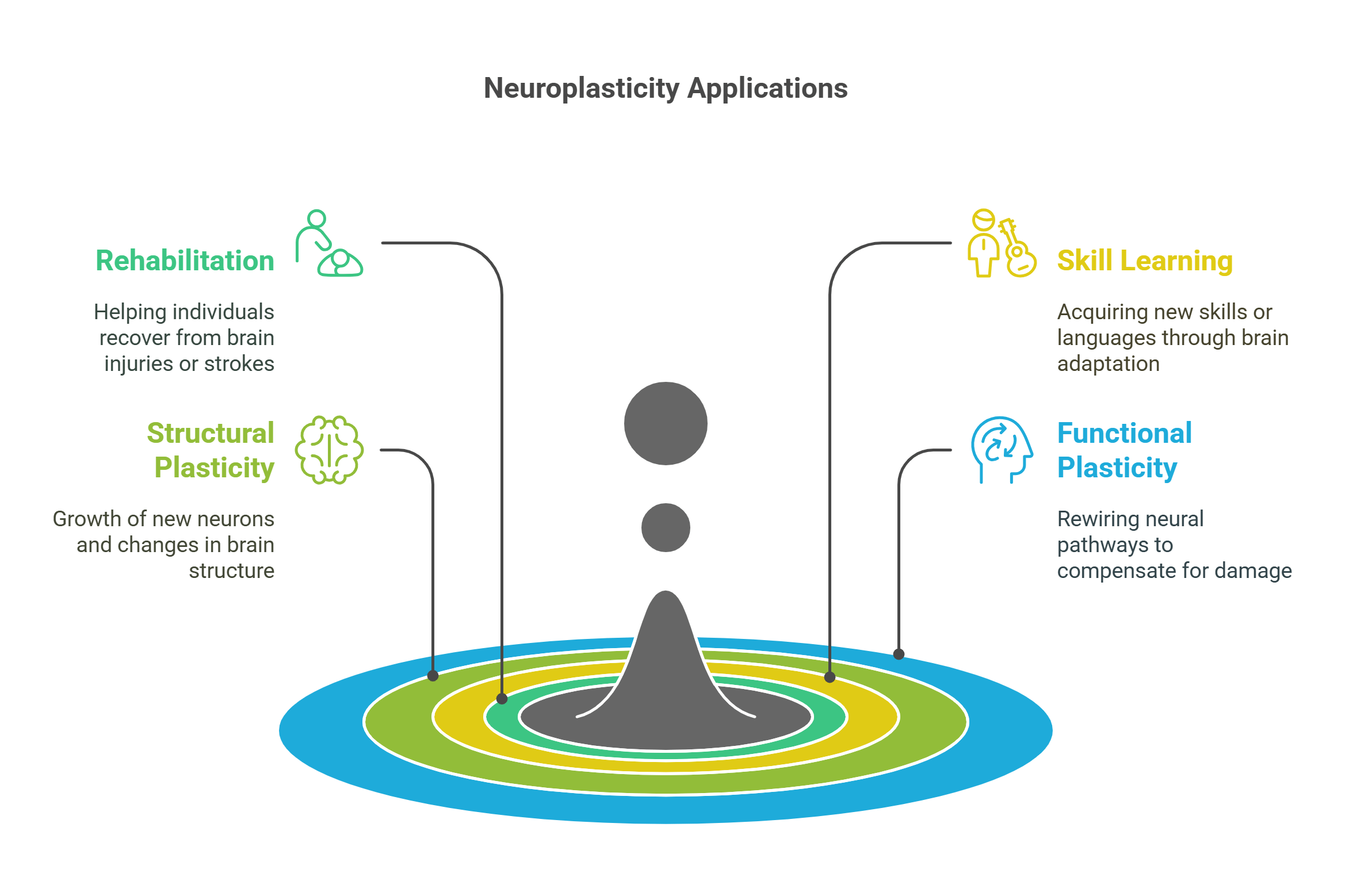 Neuroplasticity Applications Adapting The Brain