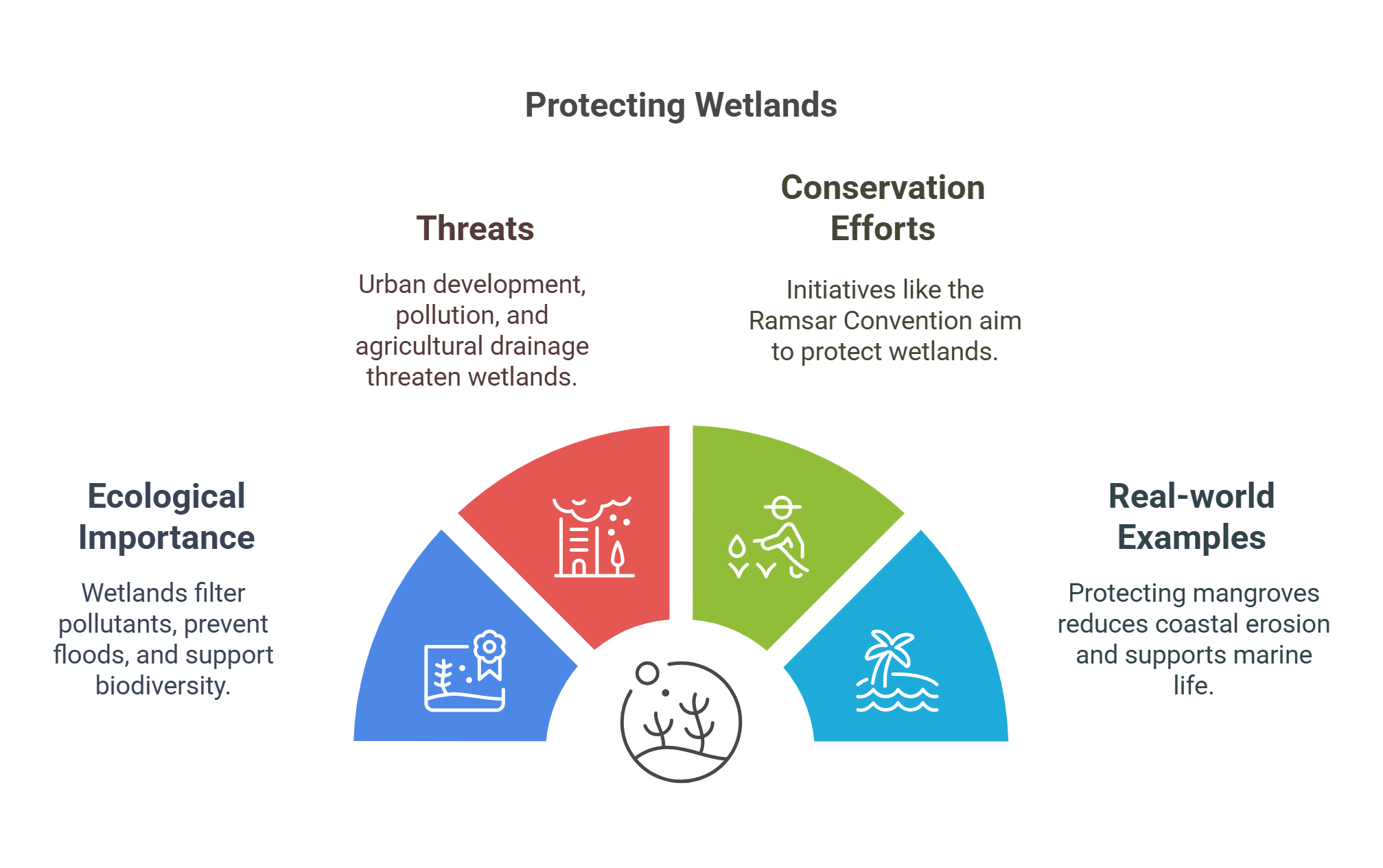 Protecting Wetlands Importance And Conservation