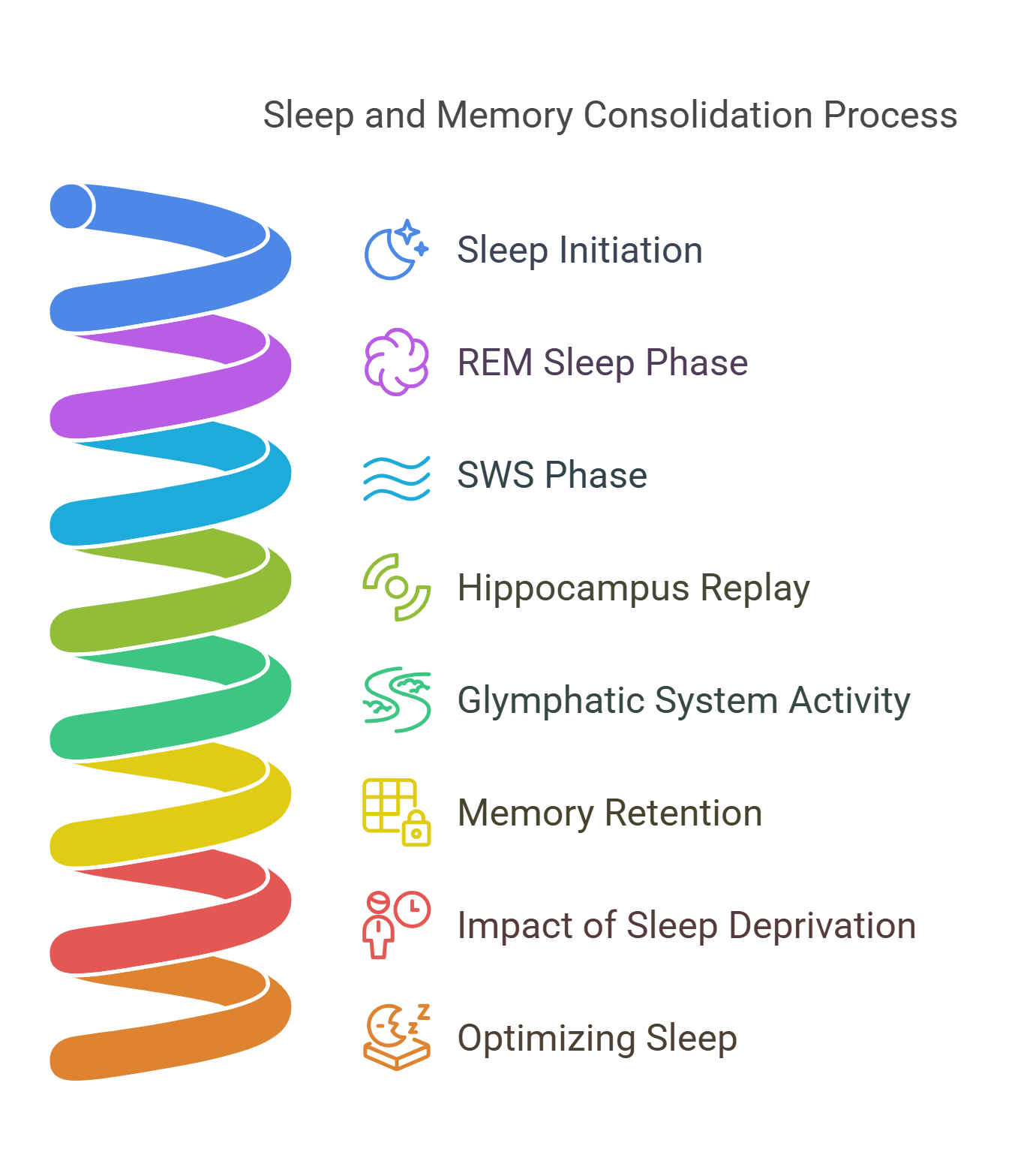 Sleep And Memory Consolidation Process