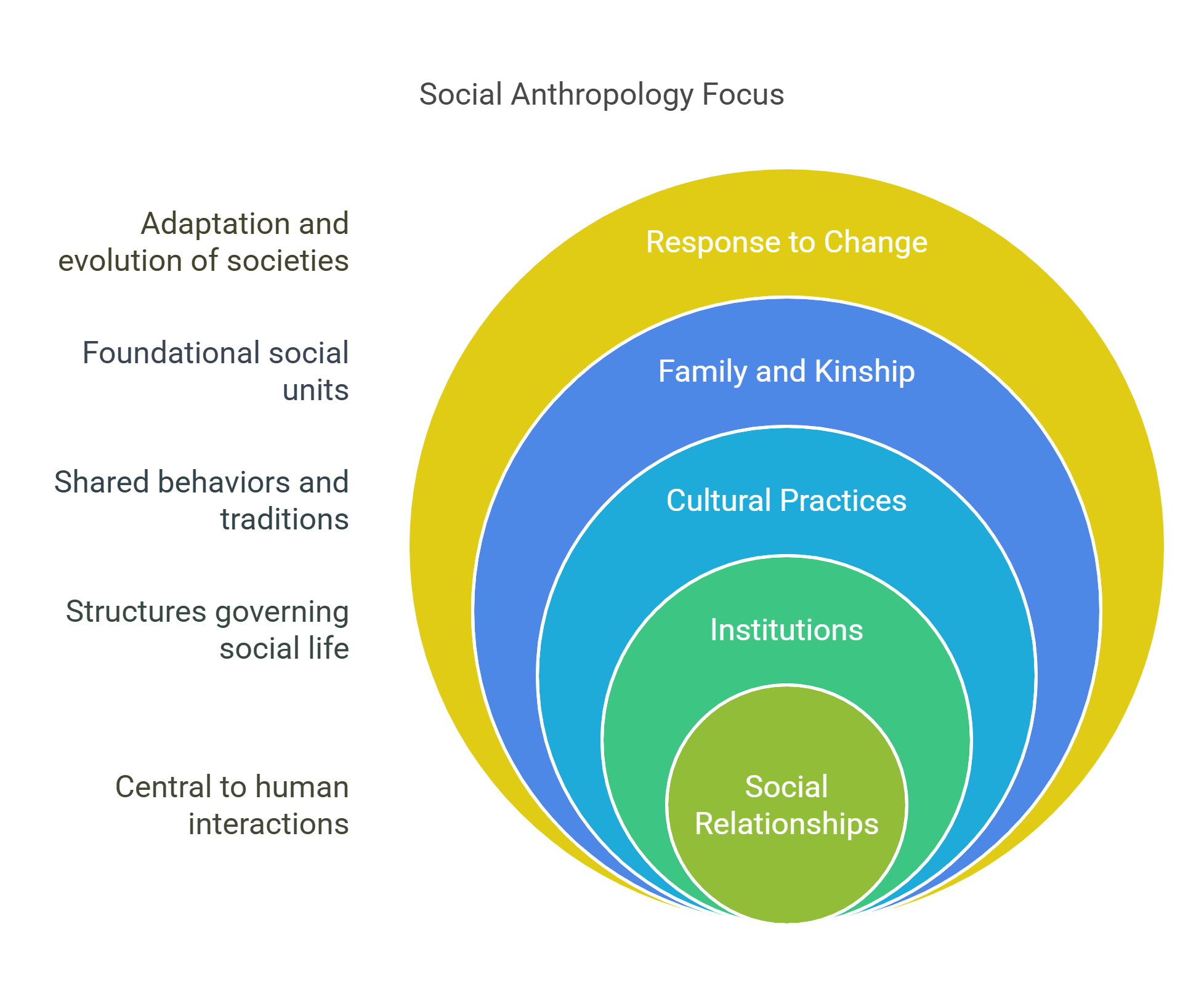 Social Anthropology Focus