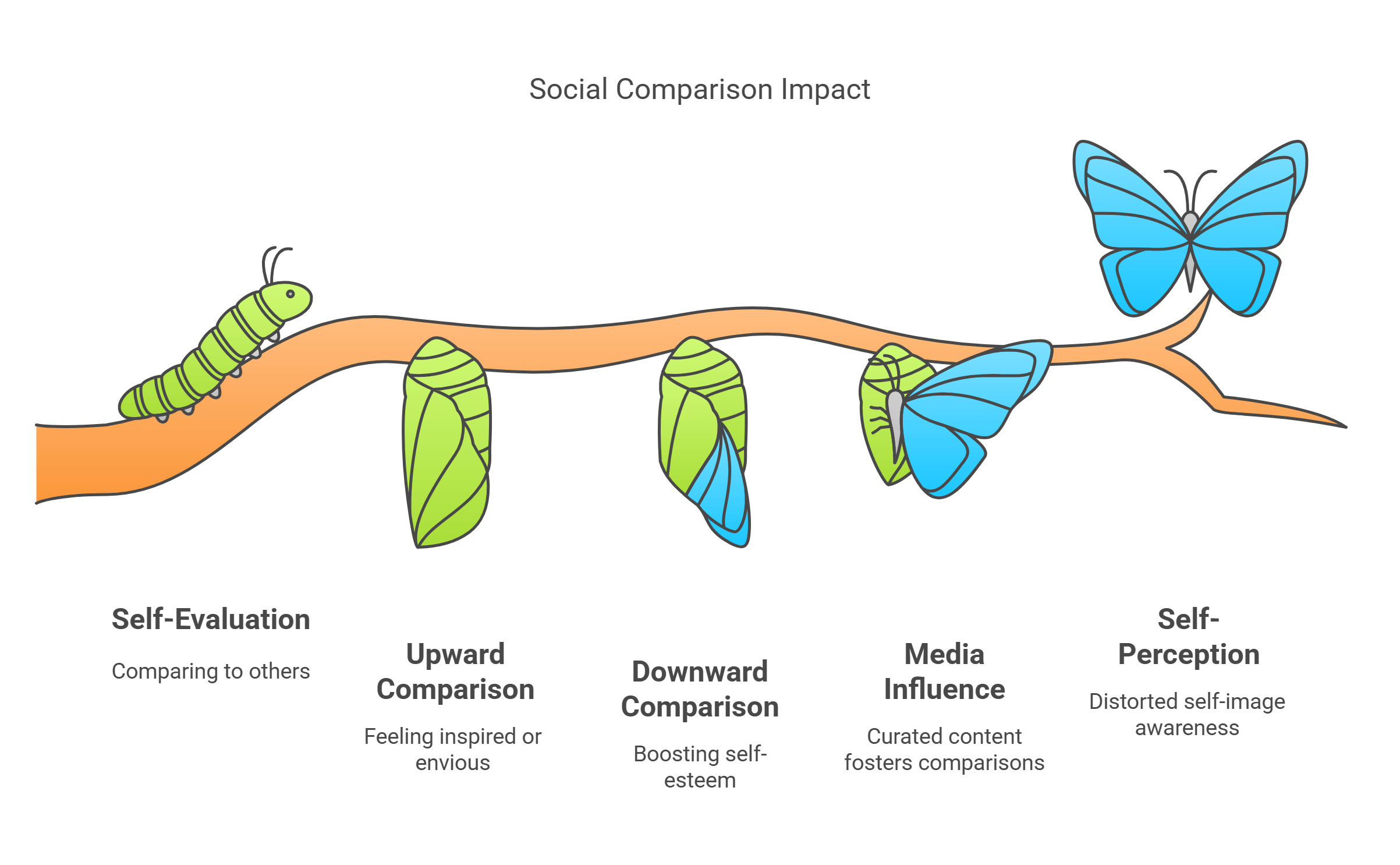Social Comparison And Media Influence