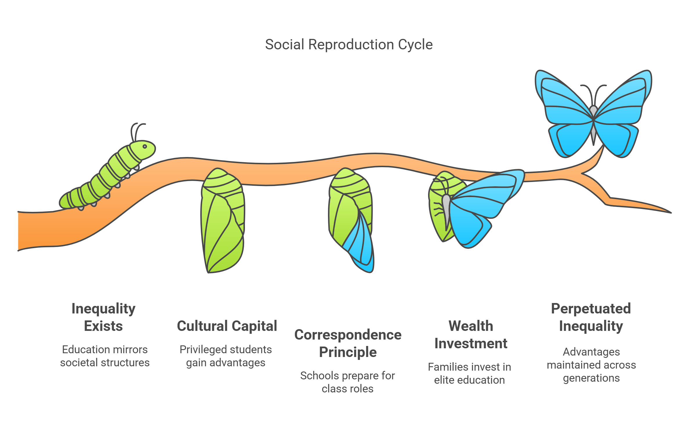 Social Reproduction Cycle A Visual Guide