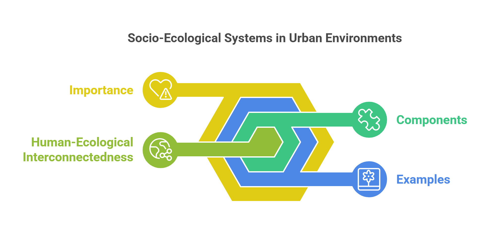 Socio Ecological Systems In Urban Environments