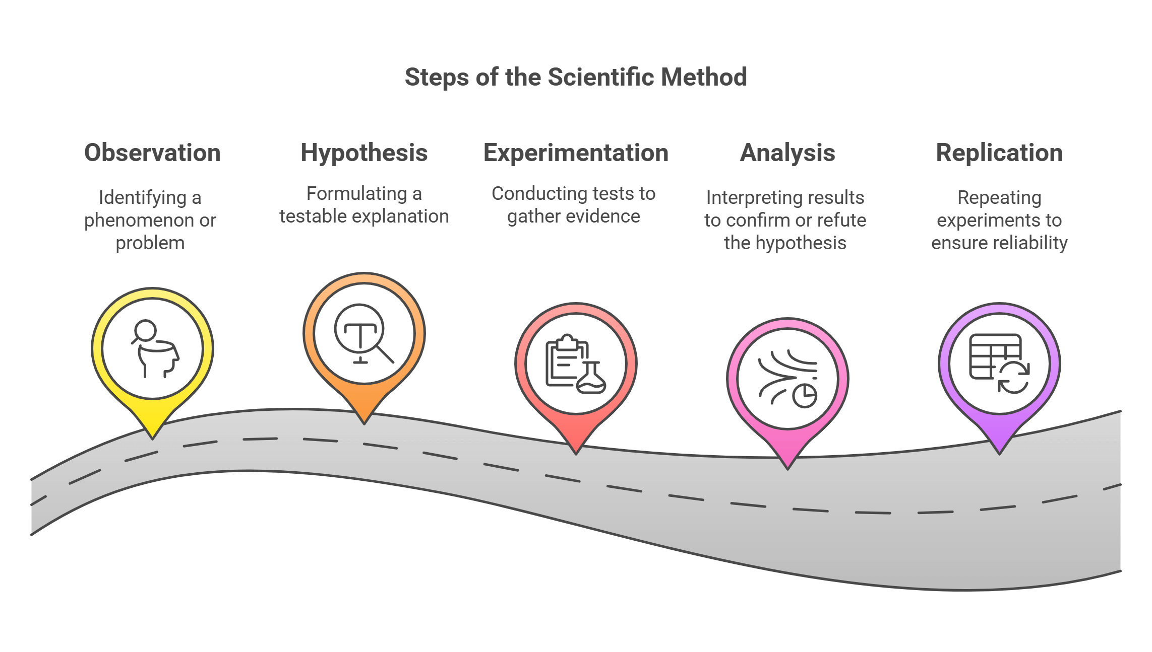 Steps Of The Scientific Method Visual Guide