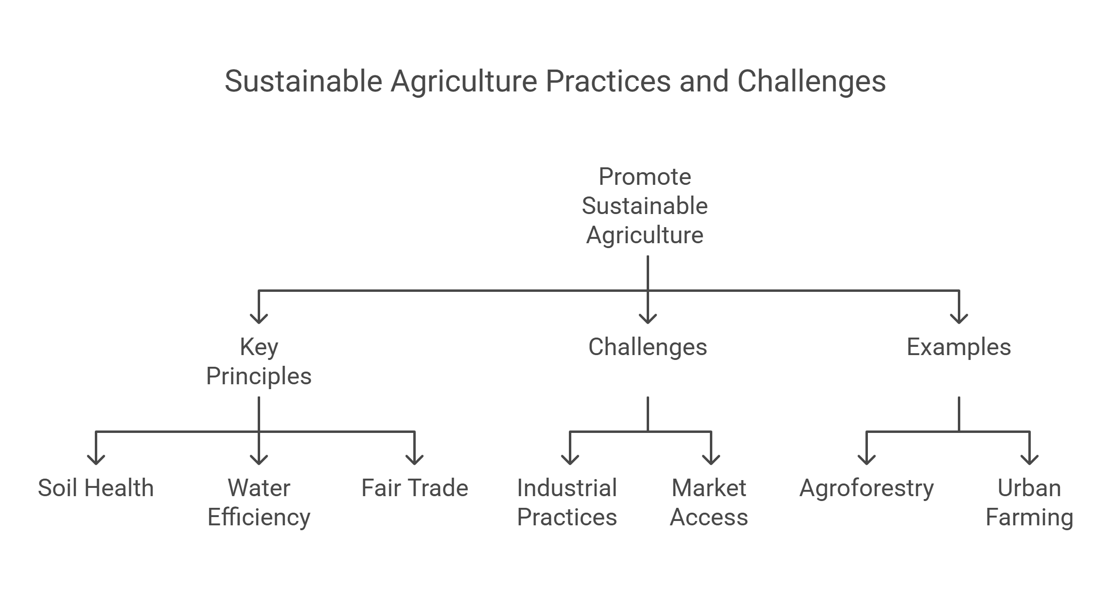 Sustainable Agriculture Principles, Challenges & Examples