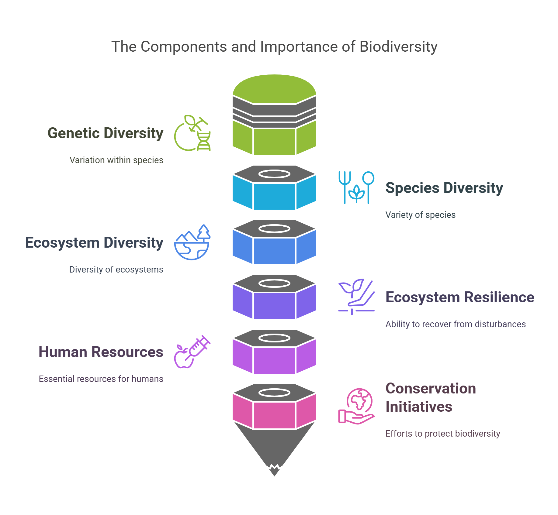 The Components And Importance Of Biodiversity