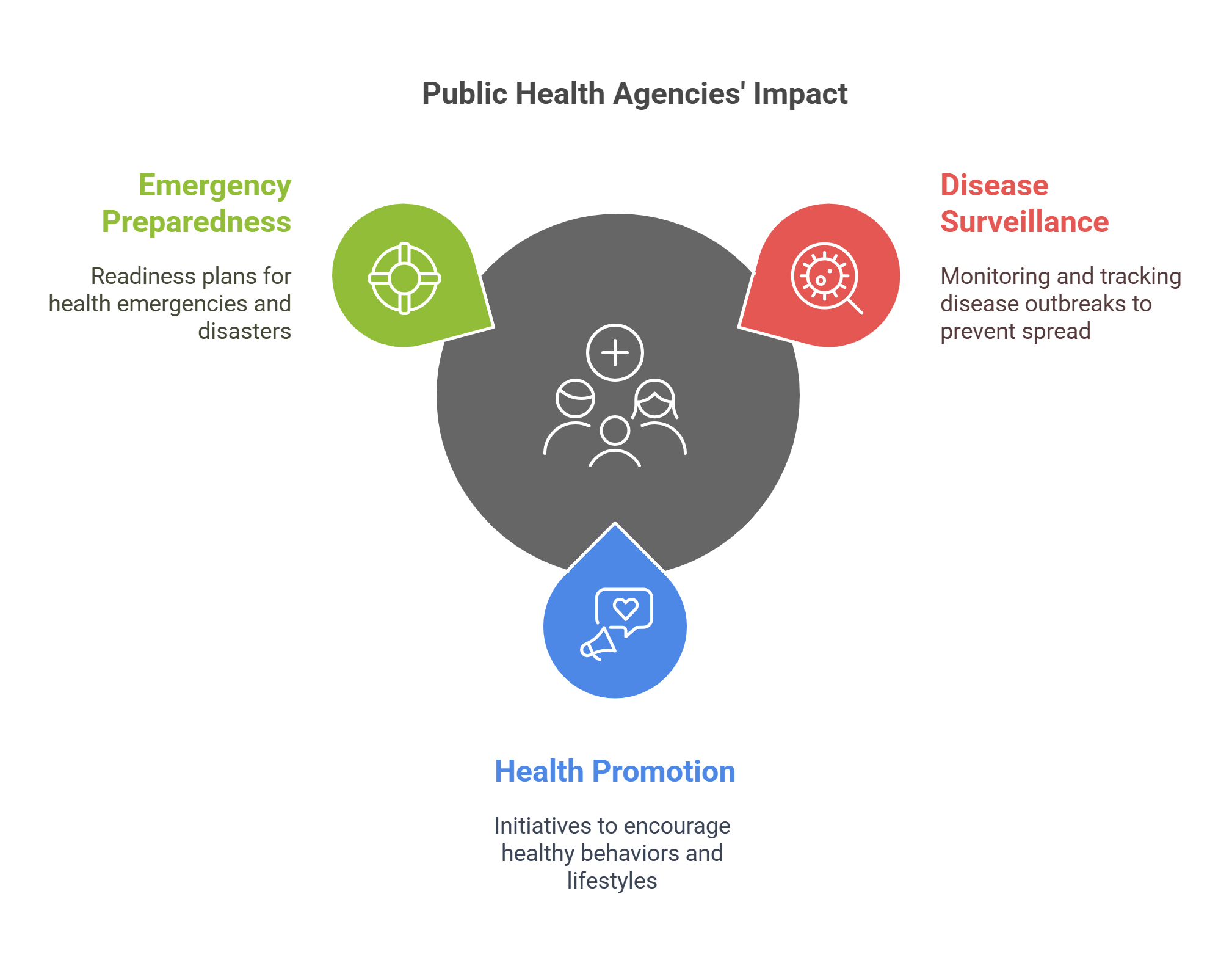The Role Of Public Health Agencies