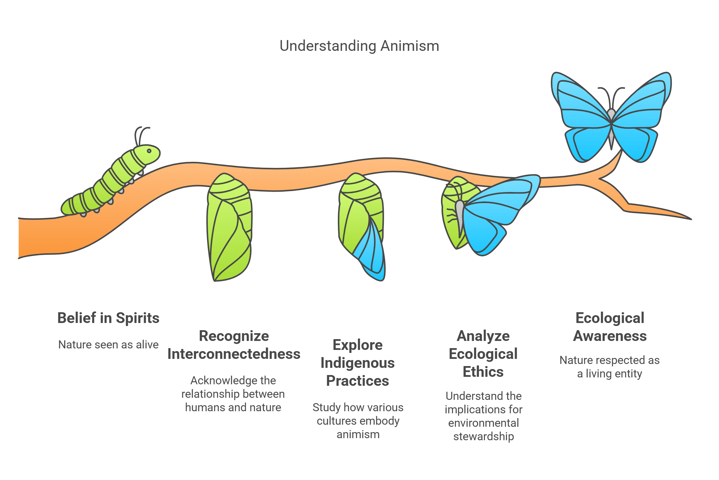 Understanding Animism