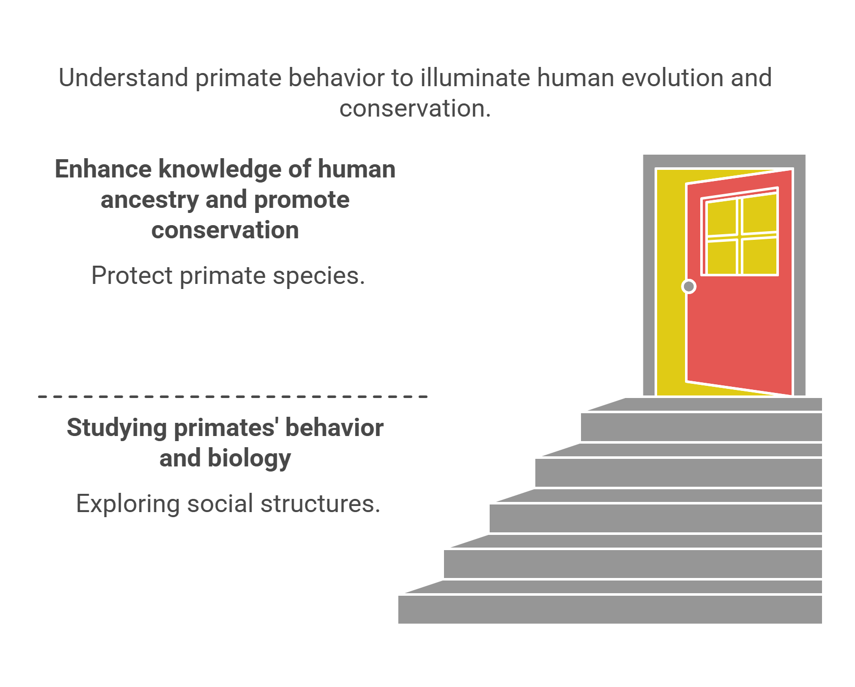 Understanding Primate Behavior And Human Evolution