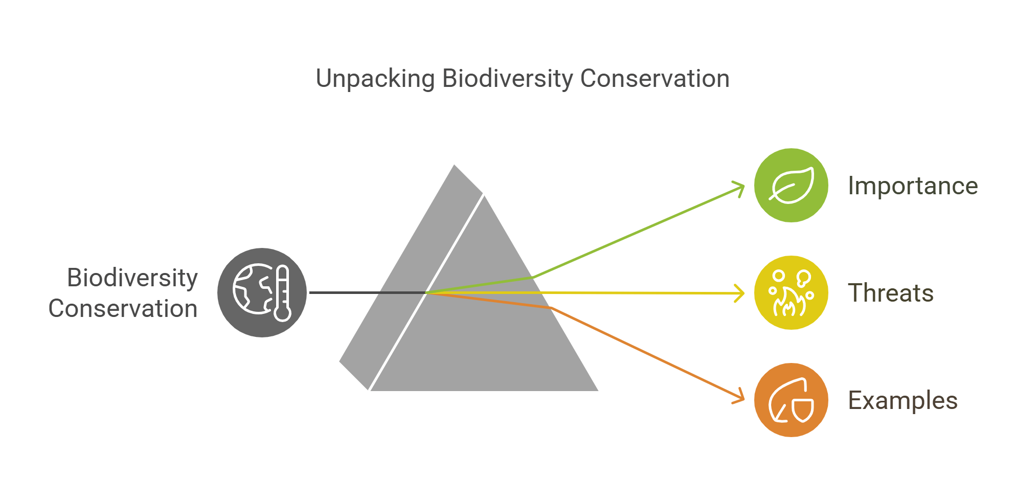Unpacking Biodiversity Conservation