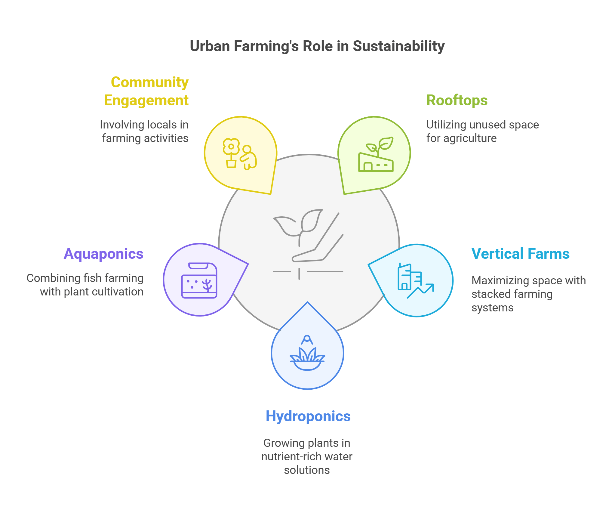 Urban Farming And Sustainability