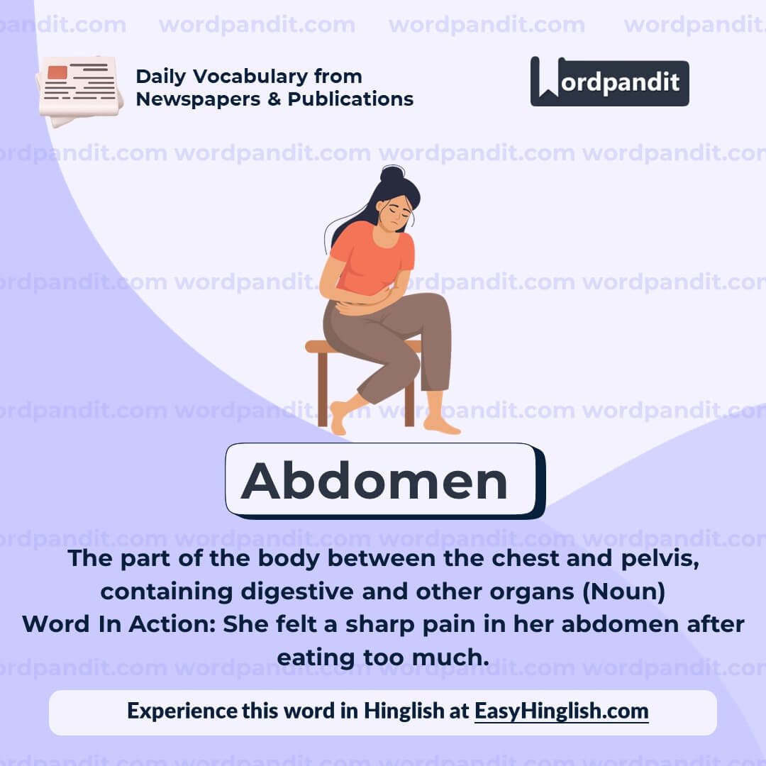 Abdomen Vocabulary Post