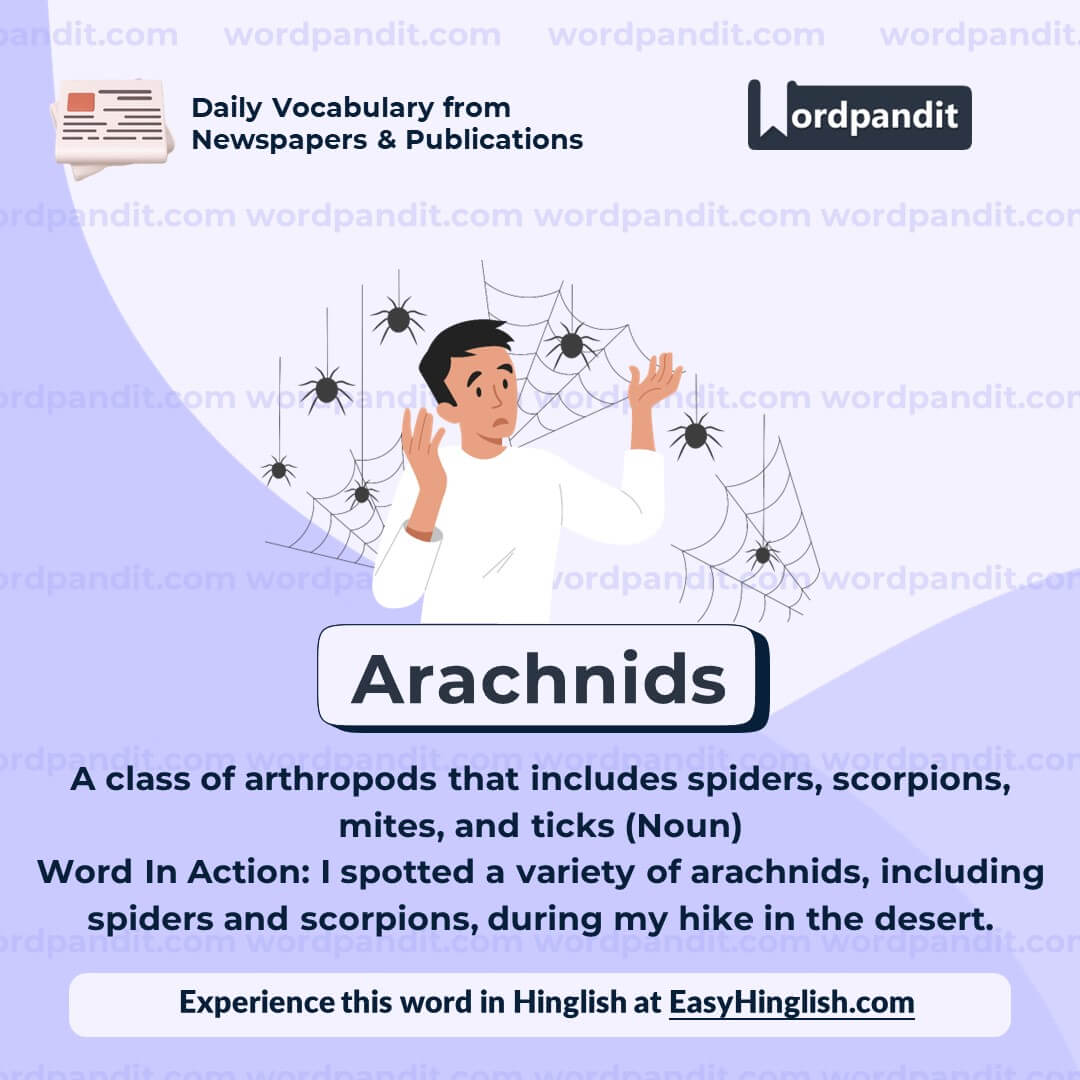 Arachnids Vocabulary Post