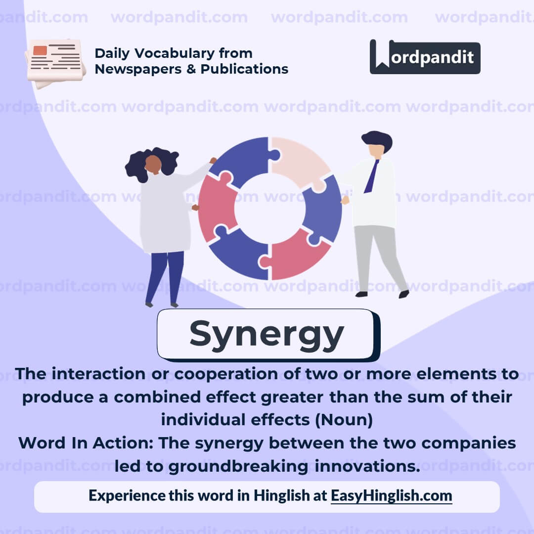 Synergy Vocabulary Post
