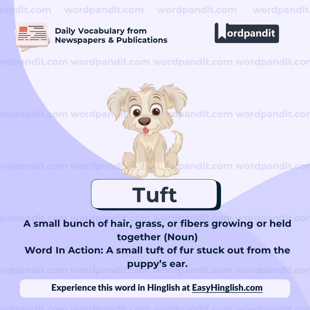 Tuft Vocabulary Post