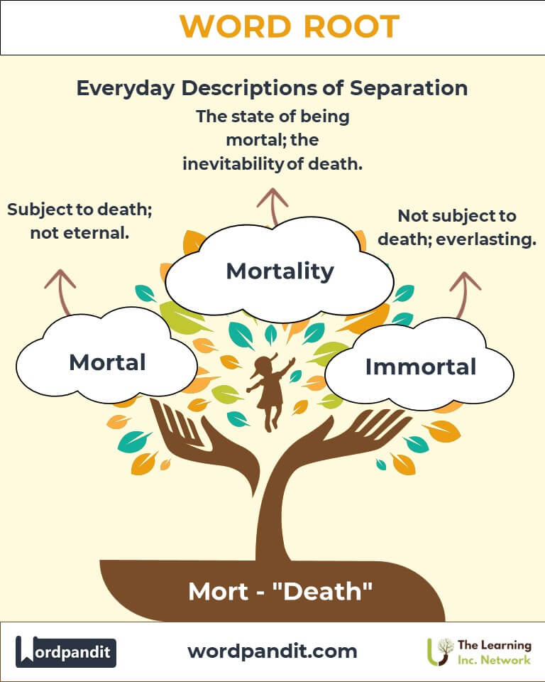 The Mort Root Word: Meaning, Definition, and Examples