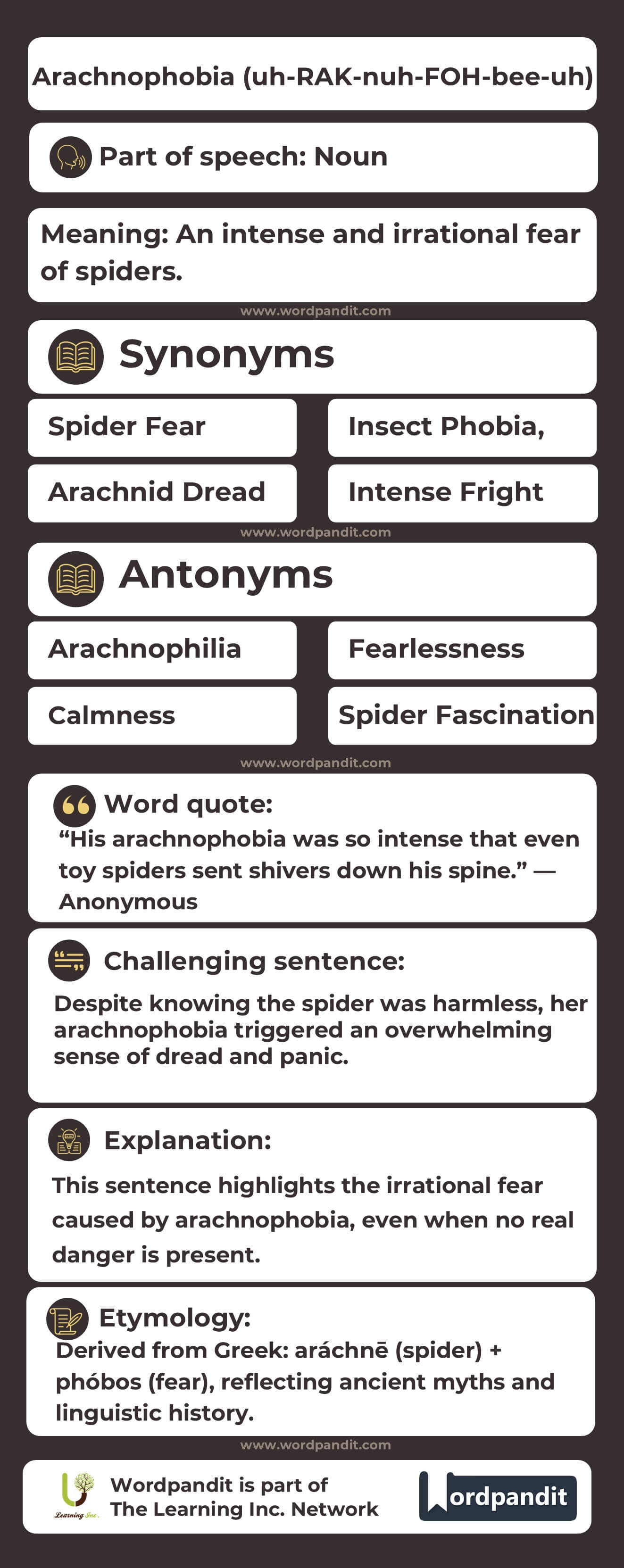 Arachnophobia Flashcard