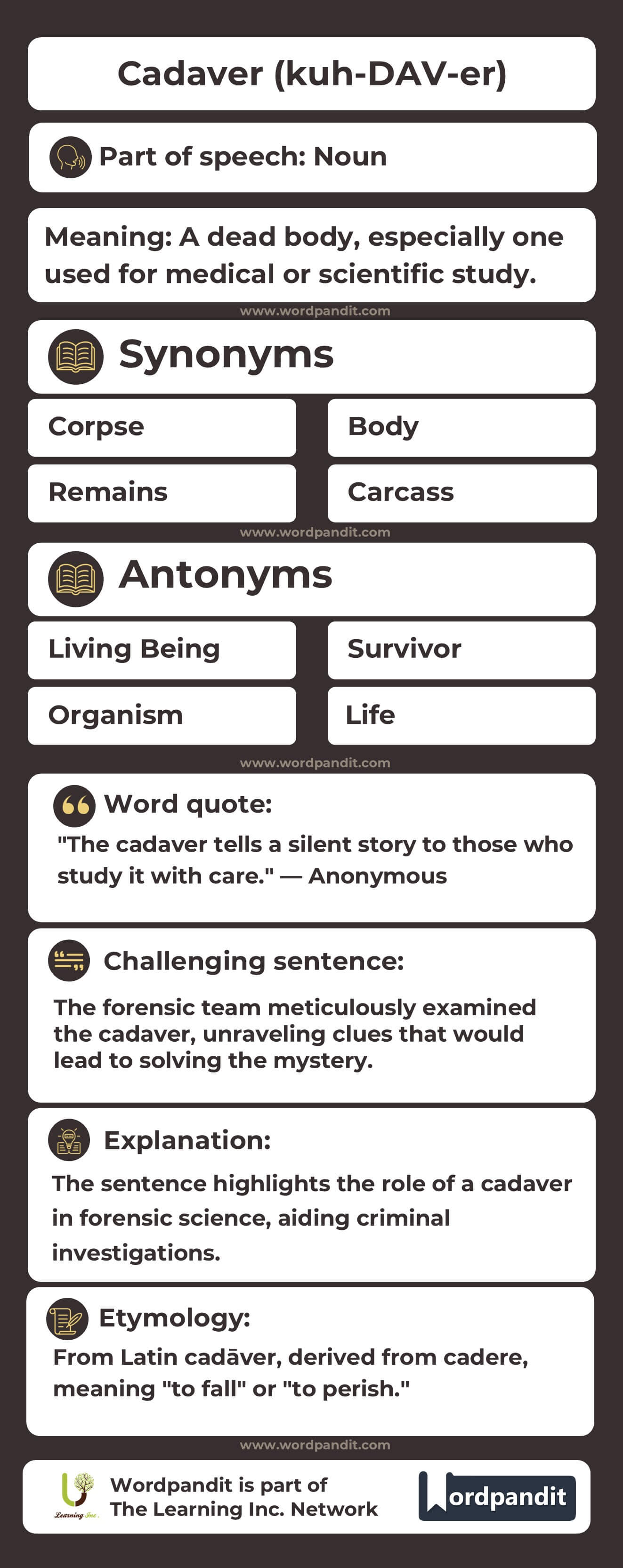 Cadaver Flashcard