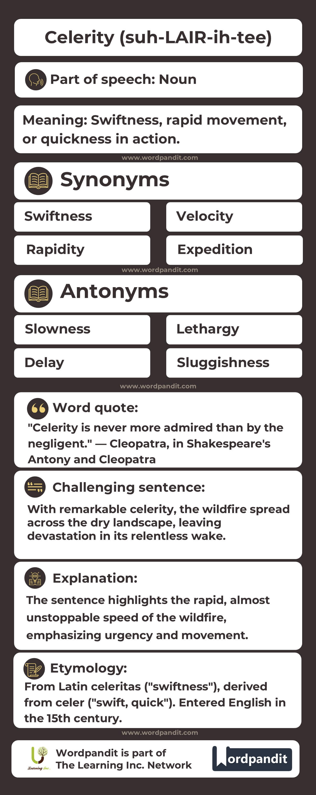 Celerity Flashcard