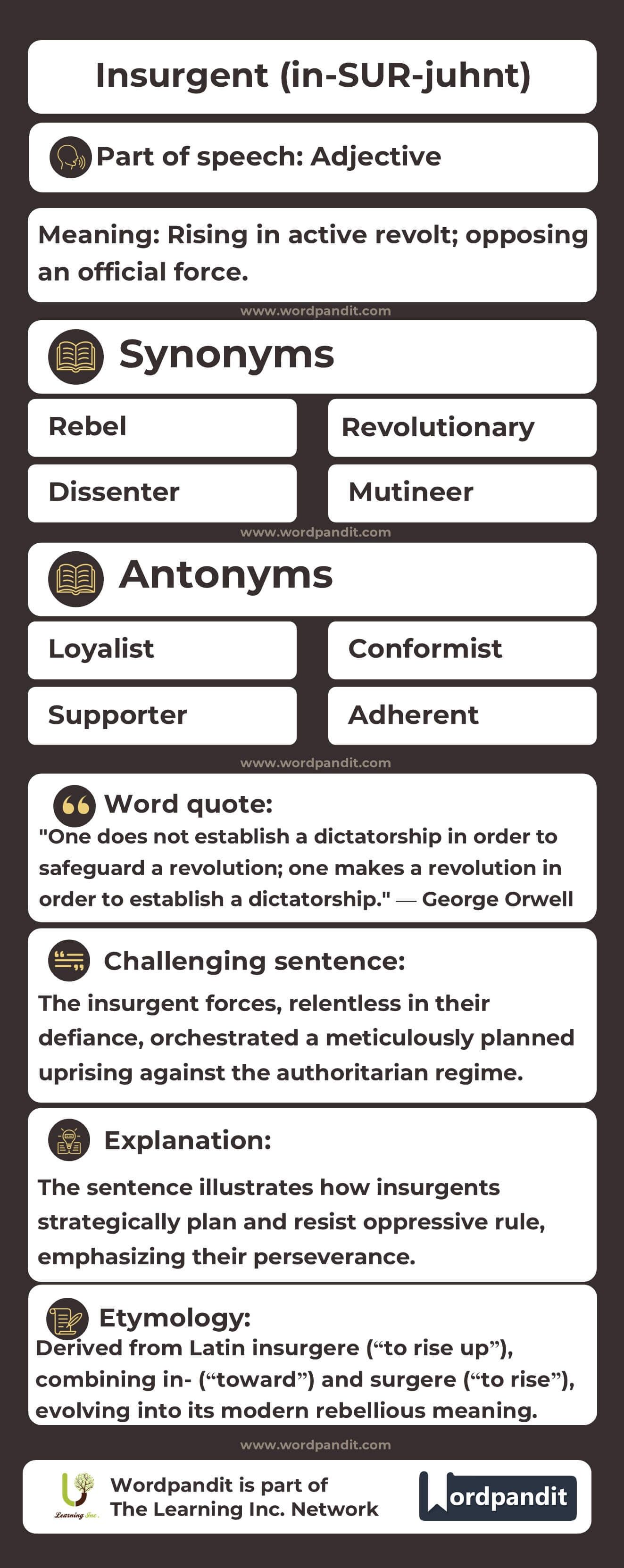 Insurgent Flashcard