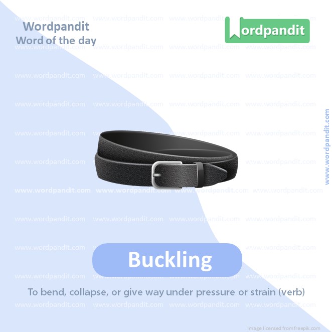 Buckling Picture Vocabulary