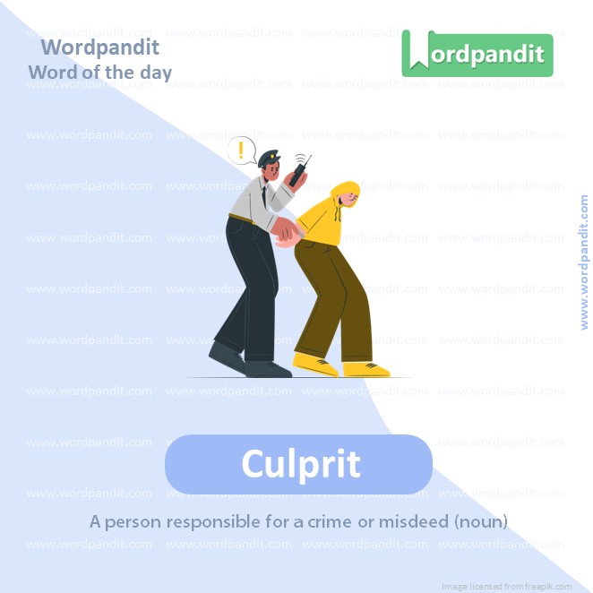 Culprit Picture Vocabulary