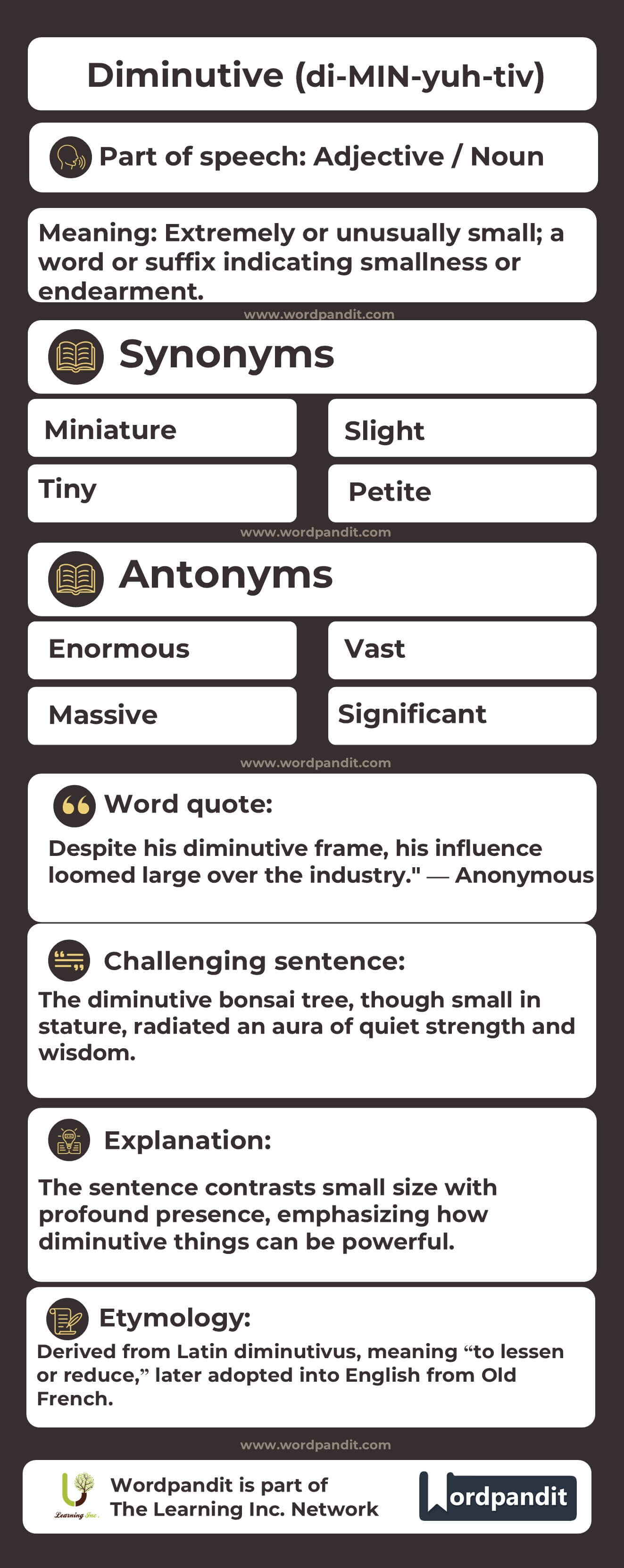 Diminutive Flashcard