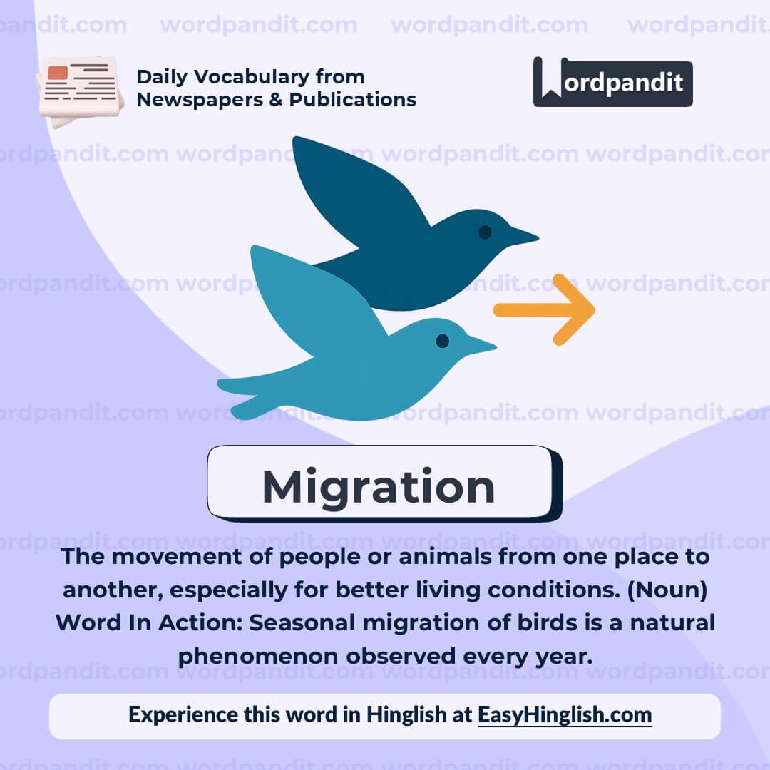 Migration Migration