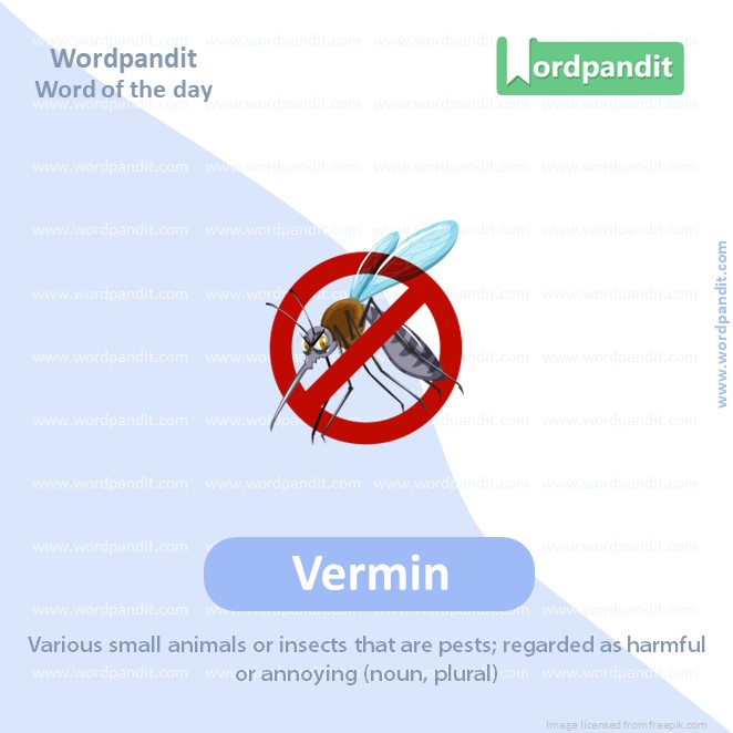 Vermin Picture Vocabulary