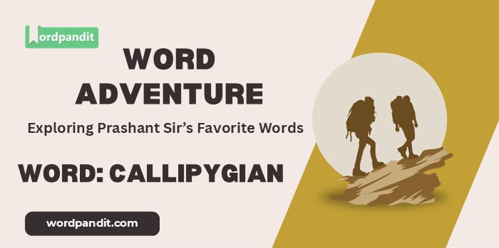 Word Adventure Callipygian