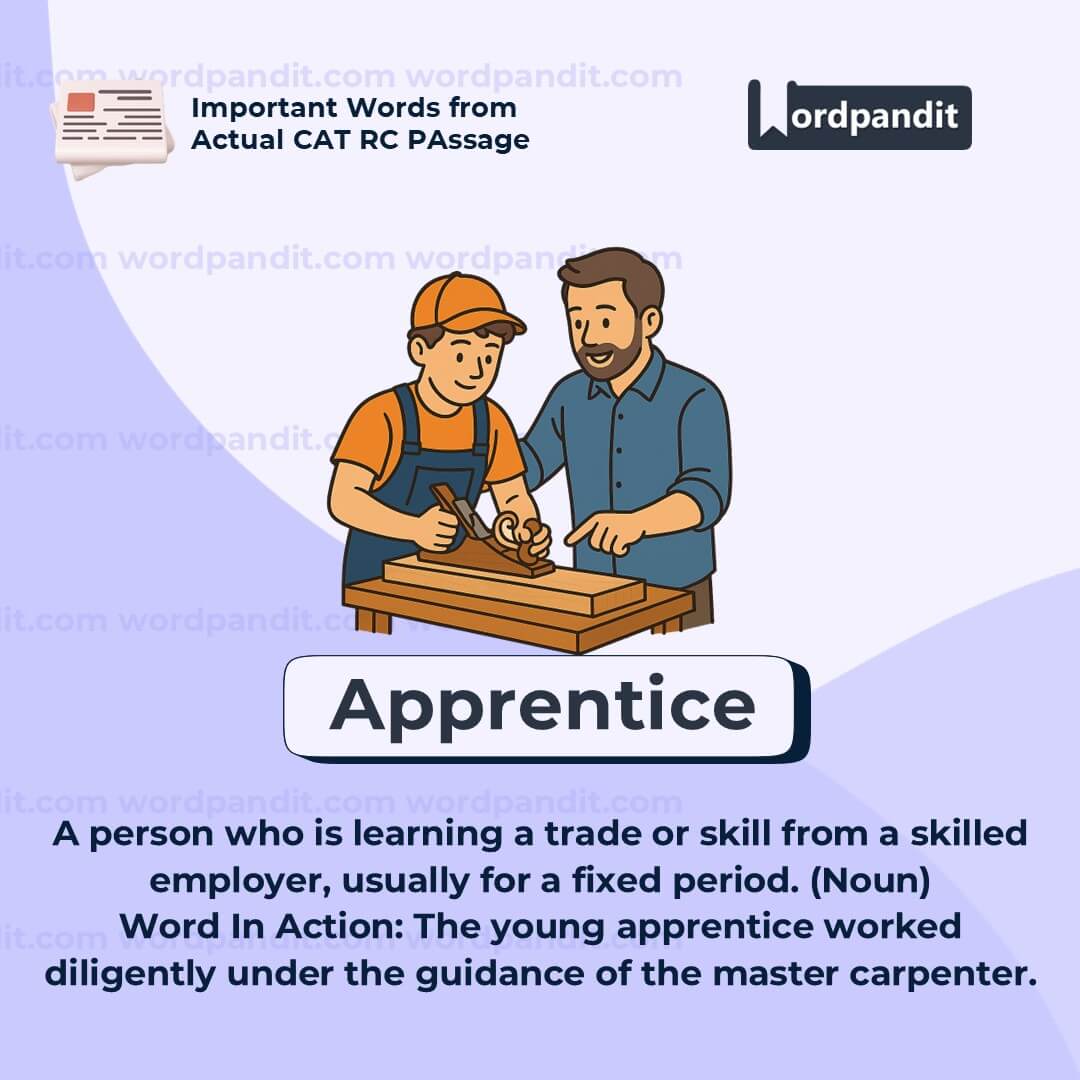 Apprentice Apprentice