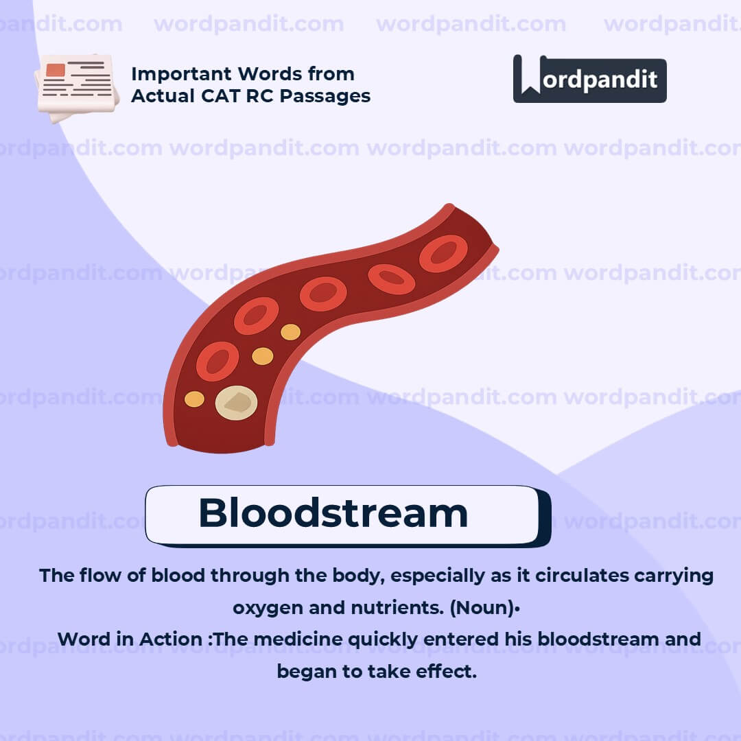 Bloodstream