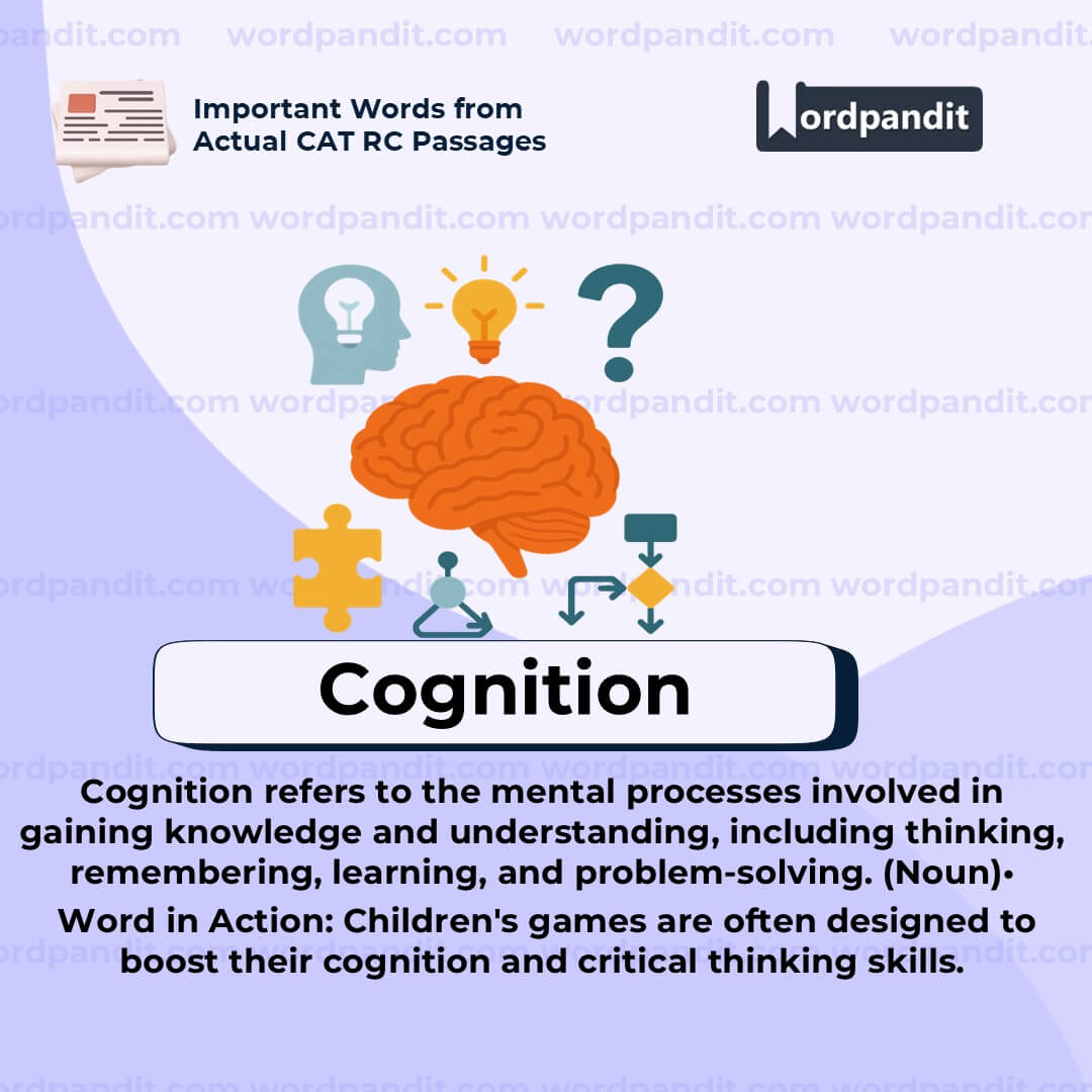 Cognition Cognition