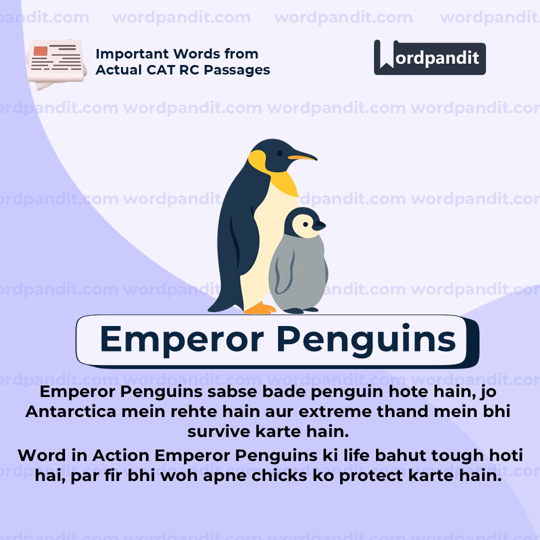 Emperor Penguins Emperor Penguins
