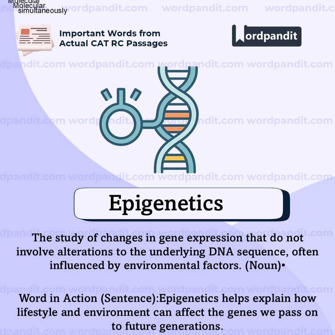 Epigenetics Epigenetics