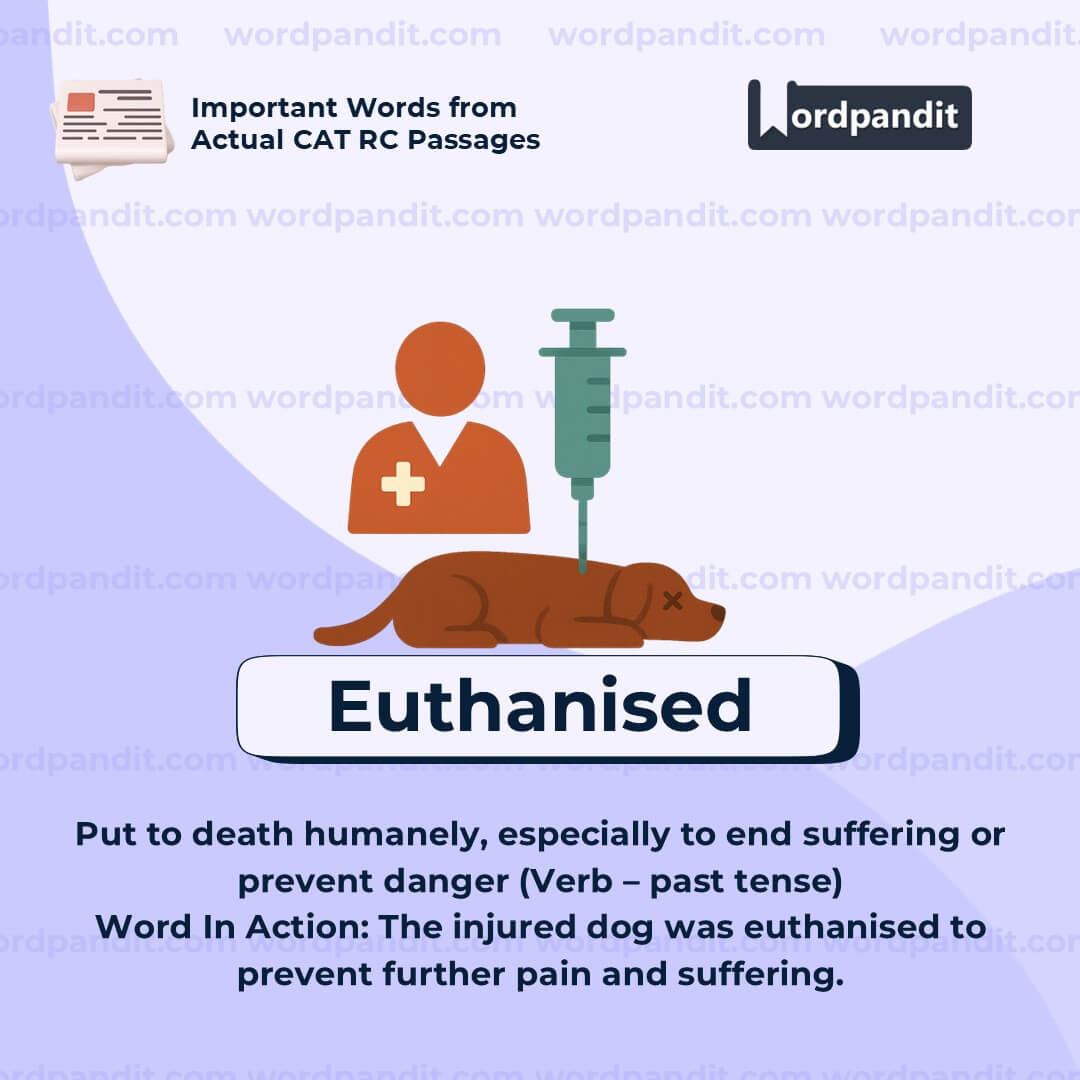 Euthanised Euthanised