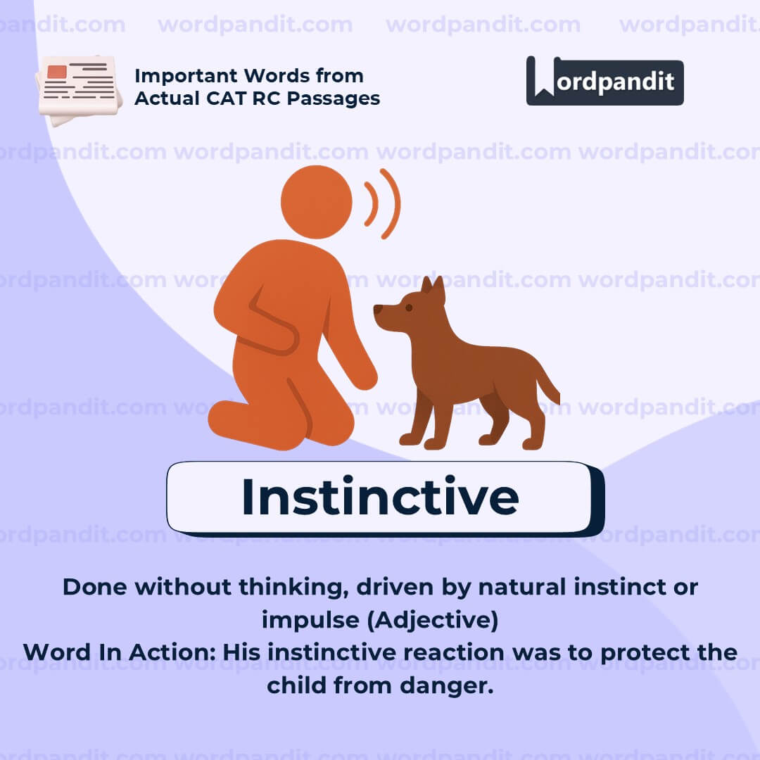 Instinctive Instinctive