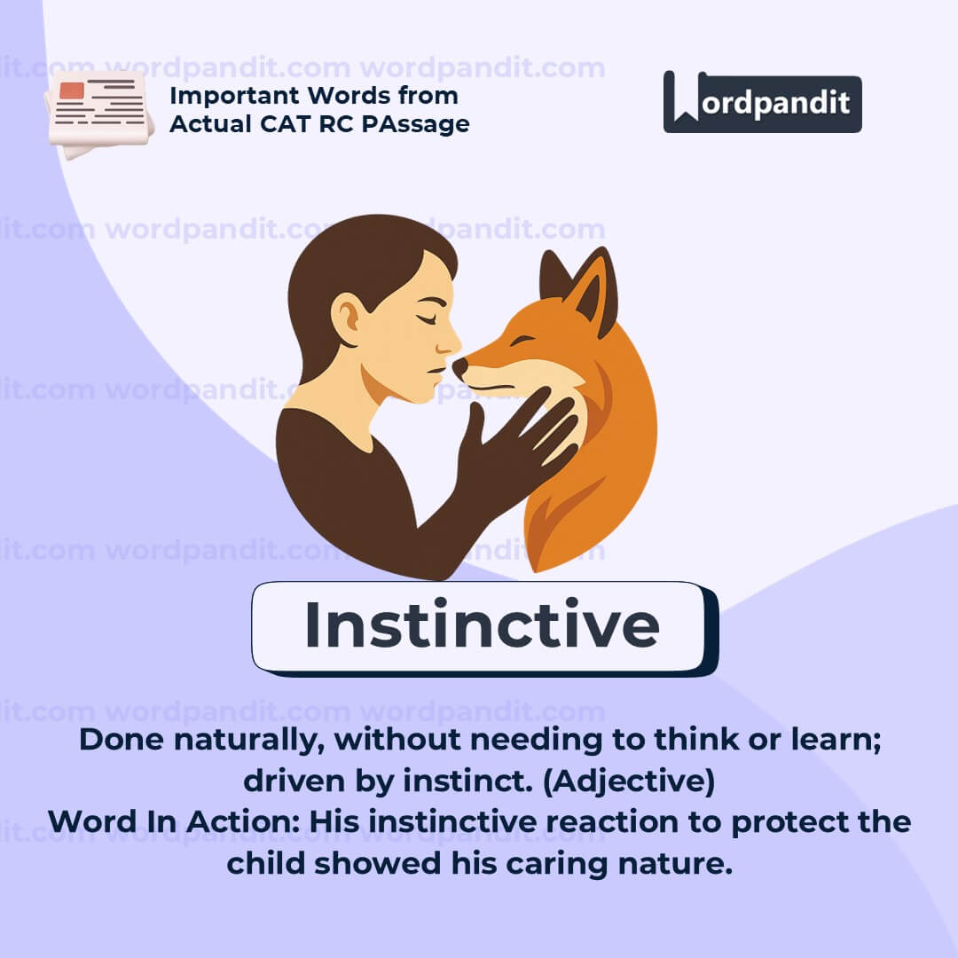 Instinctive Instinctive