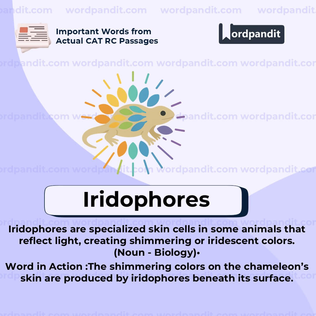 Iridophores Iridophores