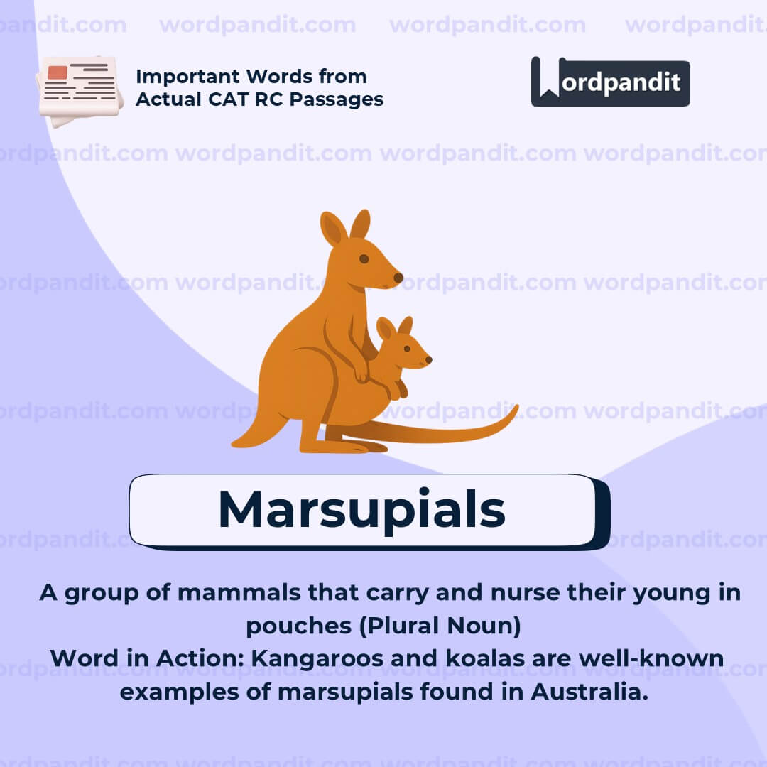 Marsupials Marsupials