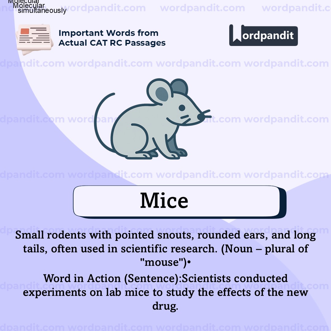 Mice Mice