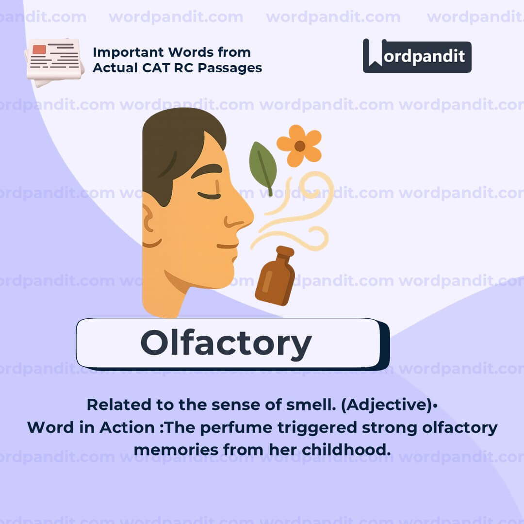 Olfactory