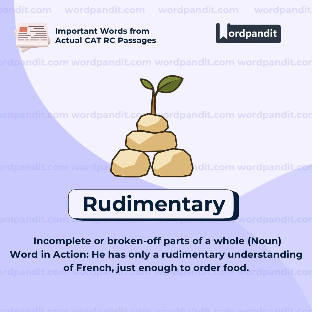 Rudimentary Rudimentary